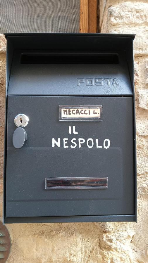 סן ג'ימיניאנו Appartamento Il Nespolo מראה חיצוני תמונה